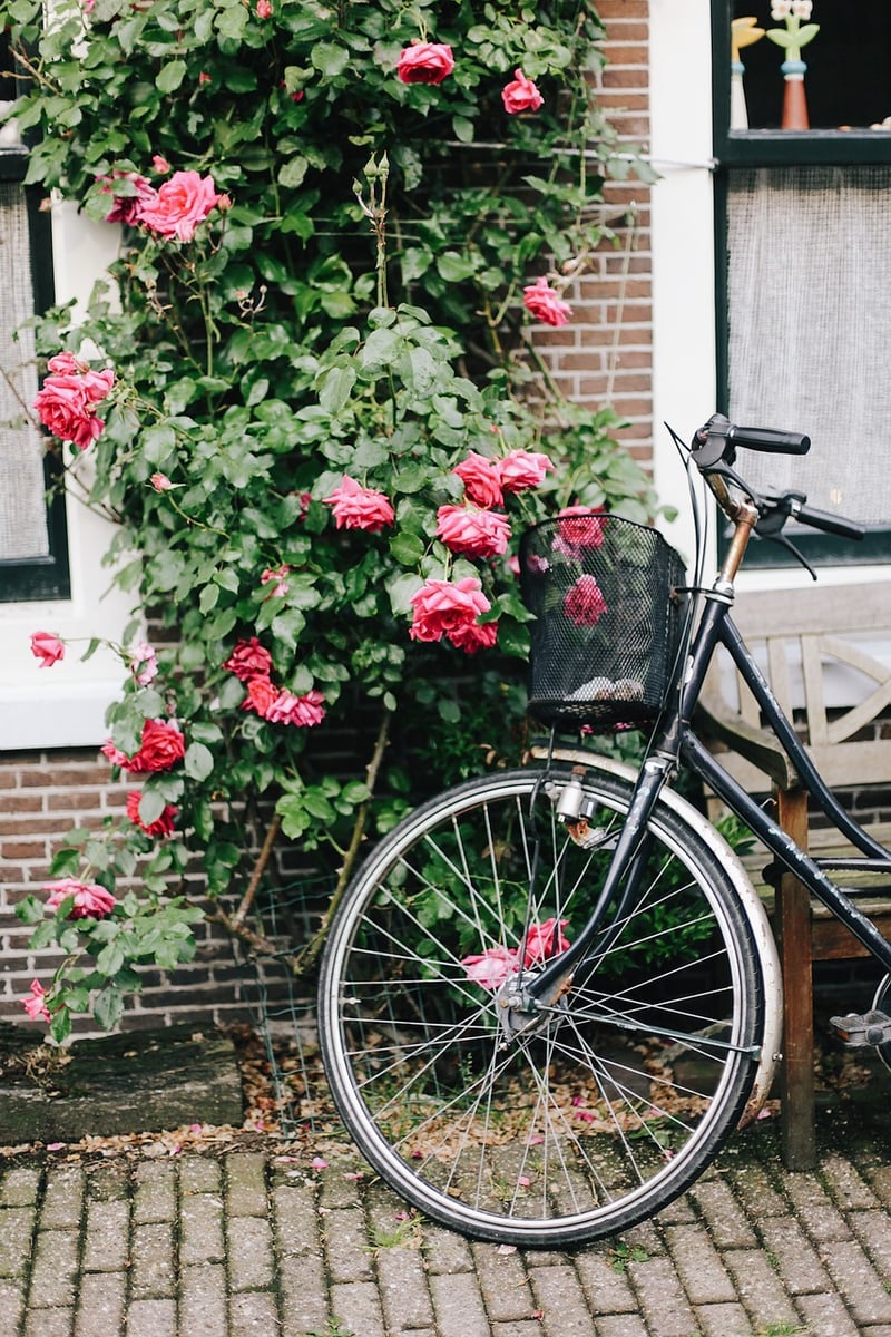 Urban Gardens